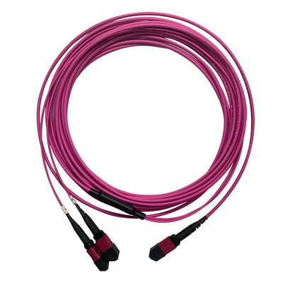 50/125 OM4 MM MPO Patch Cord 24F 3,0 mm PVC Υψηλής Πυκνότητας Multimode