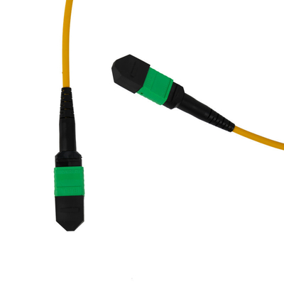 12F MPO Patch Cord 3mm LSZH εξωτερικό μπουφάν PVC OFNR εξωτερικό για δίκτυο