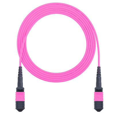 8 πυρήνες 12 πυρήνες MPO OM4 Fiber Optic Patch Cord